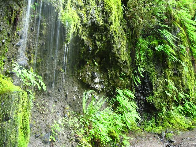 Eagle Creek-105.JPG - Eagle Creek